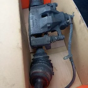 Palta granat we Suport oñi LE