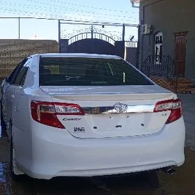 Toyota Camry 2013