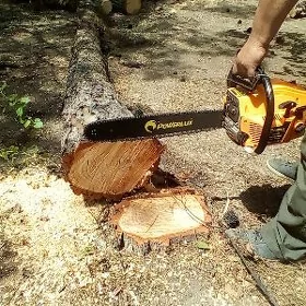 Agaç we bag kesýançi