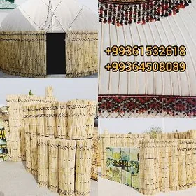 AK öý garöy Gamyş Gotoz Tüýnük