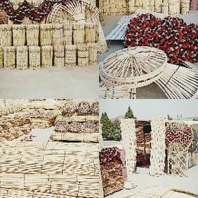 Gamyş AK öý garöy Gotoz