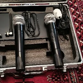 Mikrafon distasionny 2 sany