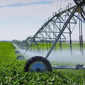 Suwaryş Полив система