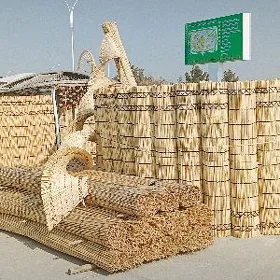 Gamyş AK öý garöy Tüýnük Gotoz