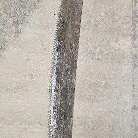 Byçgy družba СССР