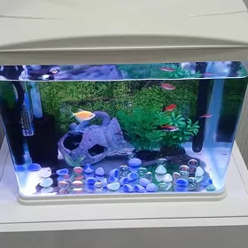 akwarium zawodskoy аквариум