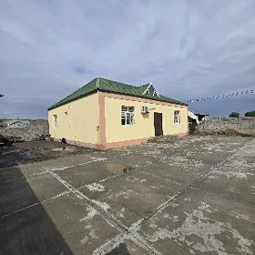 Arenda Jay Herrikgala