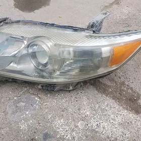 okuz kele kemry cep fara