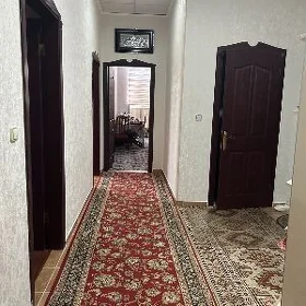 Сдаётся Элитка по Молланепеса