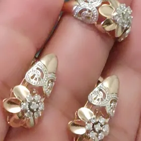 gyzyl kampilekit gysagly