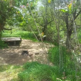 8 ýap Gökdepe 30sotok satlyk