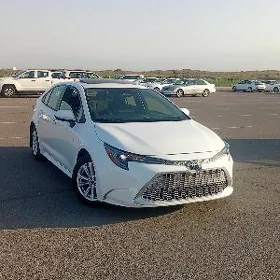 Toyota Corolla 2023
