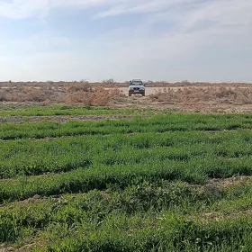 Ekerancylyk agro biznes