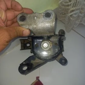 Padusga Karolla 2010 sag