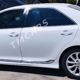 Palta Camry Molding Nikel