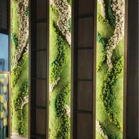 Панно из мха,декор