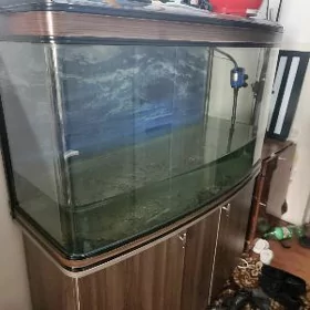 akwaryum окварюм