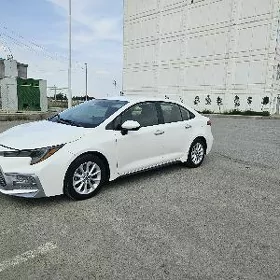 Toyota Corolla 2020