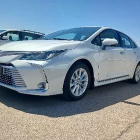 Toyota Corolla 2021