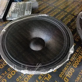 dinamiklar dynacord Ev