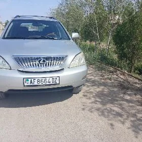 Lexus RX 330 2004