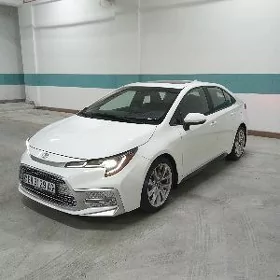 Toyota Corolla 2022