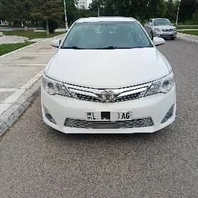 Toyota Camry 2013