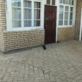 плановый дом