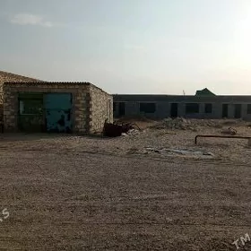 satlyk jaý gyyanlyda