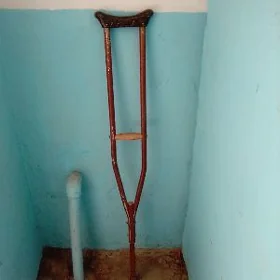 красота и, здоровье