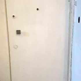 железная дверь