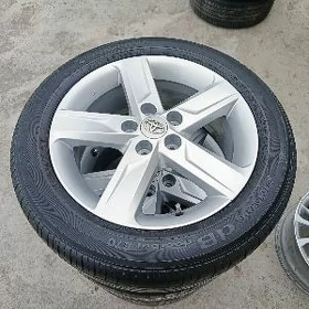 Argynal disga teker 17.