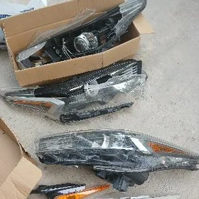 Forte fara zapcaslyk