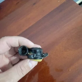 2107 halastoy balykgulok dacik