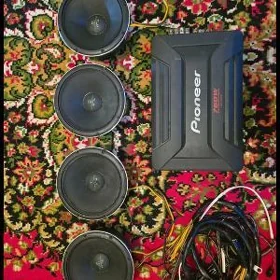 Ady. Arnold Usilitel Arnold