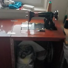 podolskiy tikin masyn