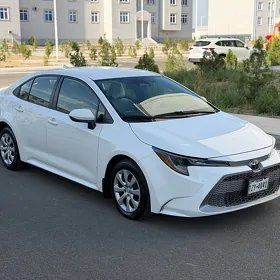 Toyota Corolla 2023