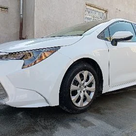Toyota Corolla 2024