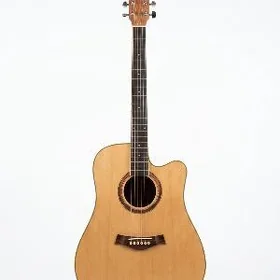 gitara enjoy