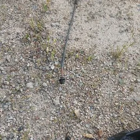 БМВ газ тросик