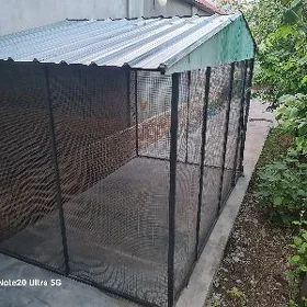 kuryatnik,towuk ketek