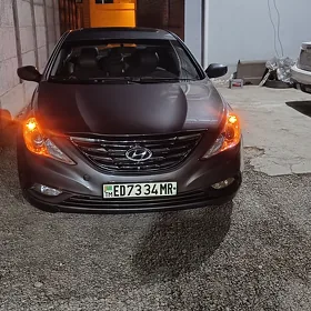 Hyundai Sonata 2010