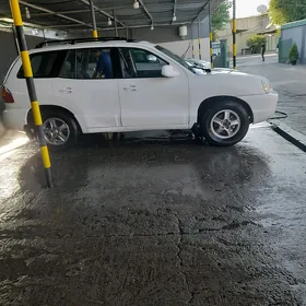 Hyundai Santa Fe 2004