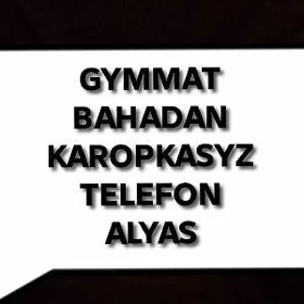 Rabocy tel alyas. x6pro s24