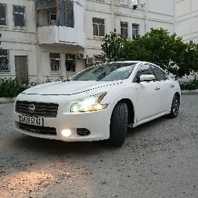 Nissan Maxima 2010