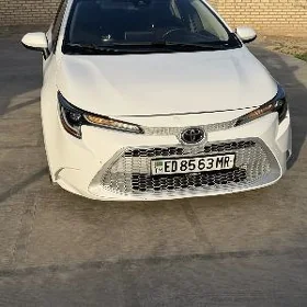 Toyota Corolla 2021