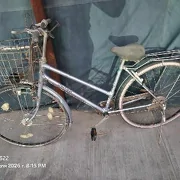 tigir 27lik 3 skorsly