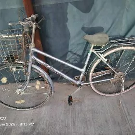 tigir 27lik 3 skorsly