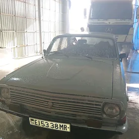 Gaz 24 1989