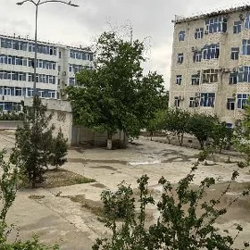 eyesinden jay aljak srocna !!!